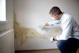 Reliable Waldo, FL Mold Removal Services Solutions